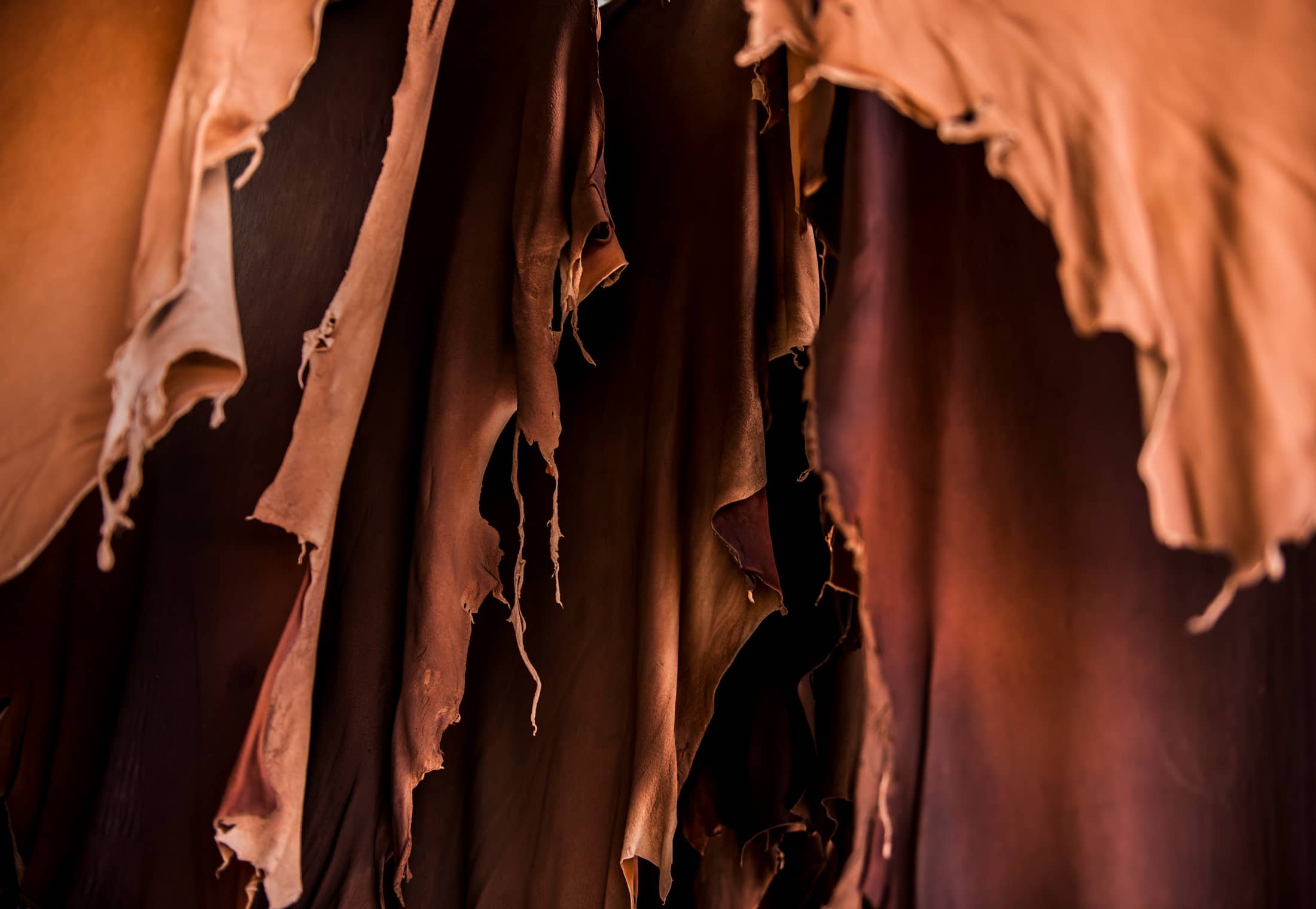 A complete portfolio of fatliquoring solutions