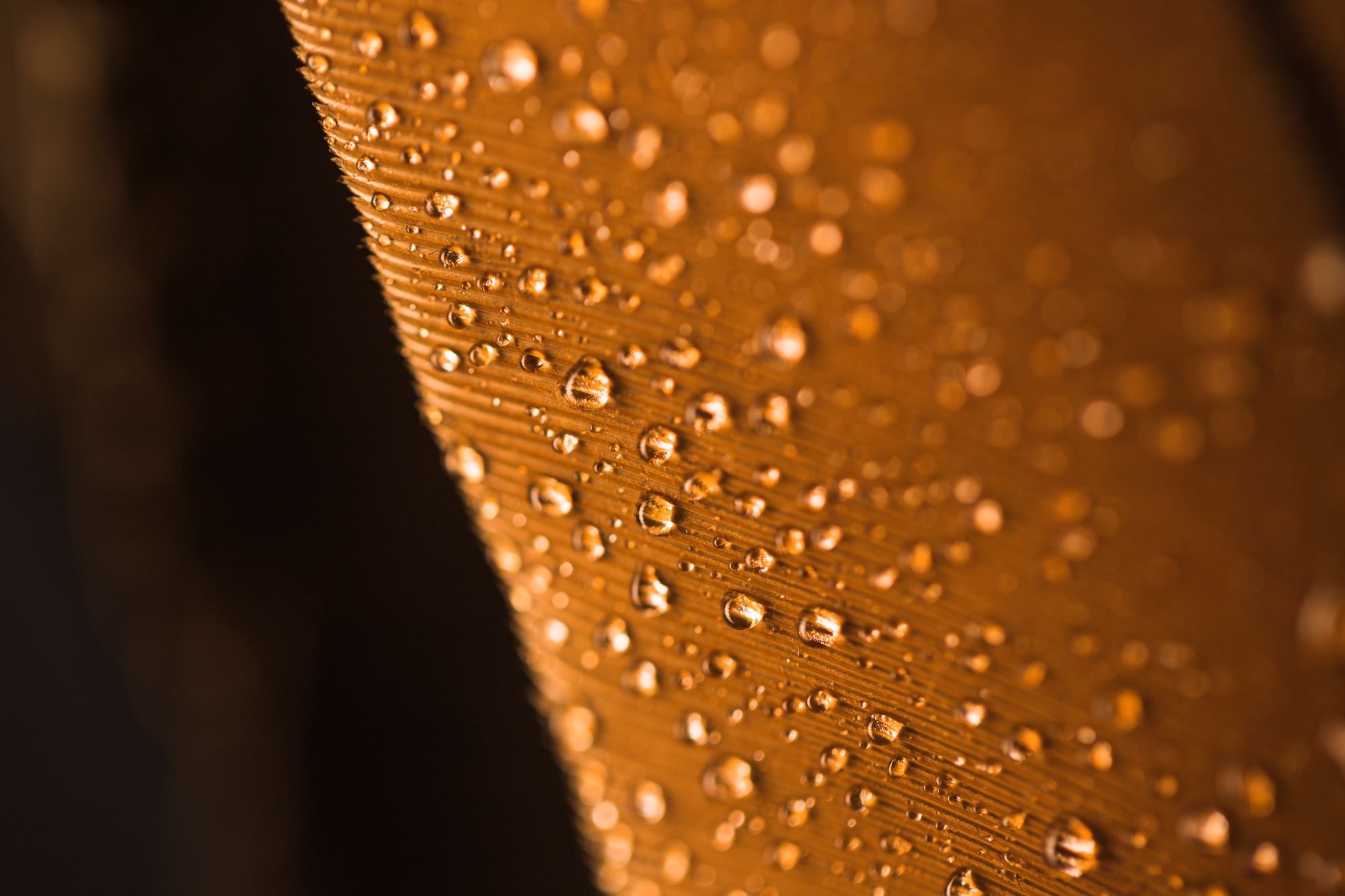 Waterproofing solutions with a purpose